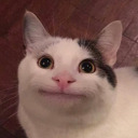 applesaps-sorts avatar