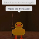 applesarebettercaramel avatar