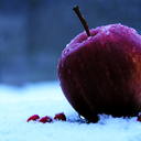 applesindecember avatar