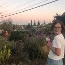 applestooranges69 avatar