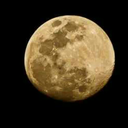 appreciatesbeautifulwomen avatar