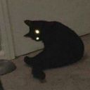 appreciation-day avatar