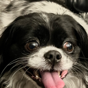 approval89-blog avatar