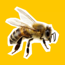 approximately-74373-bees avatar