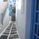 apricotapricot-blog1 avatar