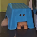 aprillllllllllllll avatar