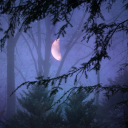 aprinceinwhite avatar