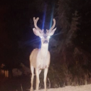 apromisethatimade avatar