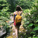 apterygialangel avatar