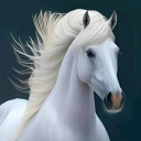 aqerggvviivcb avatar