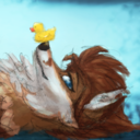 aquarellewolf-blog avatar