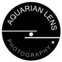 aquarianlens avatar
