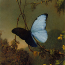 aquarianseyes avatar