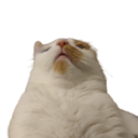 aquarium-drinker avatar