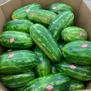 aquatic-potato avatar