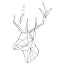 aquietdeer avatar