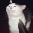 aquila--tequila avatar