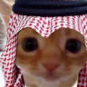 arabcat avatar