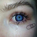 aracelipayne8 avatar