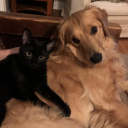 arachneofthoughts avatar