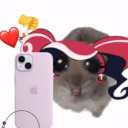 arandomperson3 avatar