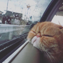 arasiraugrayanbiri avatar