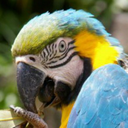 aratarata-blog avatar