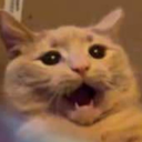 arbitraryarchivist avatar