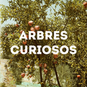 arbres-curiosos avatar