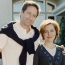 arcadianpetriedish avatar