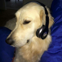 arcadiansummer avatar