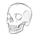 archaeology-for-dummies avatar