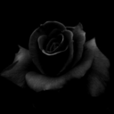 archangel1217 avatar