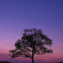 archangel1961 avatar