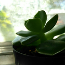 archetectinthemaking avatar