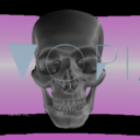 archipelneu-blog avatar