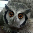 archive-backdoor avatar