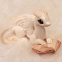 archive-dragon avatar