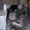 archive-of-escapism avatar