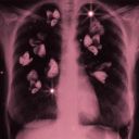 archive-of-the-lost avatar