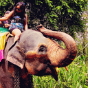 archived-ellesaves avatar