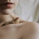 archivedsentiment avatar