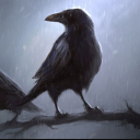 archiveofoddities avatar