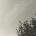 archiveofphotography avatar