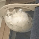 archiverofoddities avatar