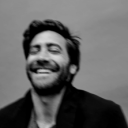 archives-gyllenhaal-stories avatar