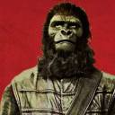 archives-of-the-apes-1968 avatar