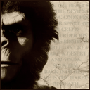 archivesoftheapes avatar