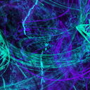 arctic-abomination avatar