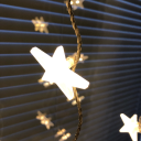 arcticberrytea avatar